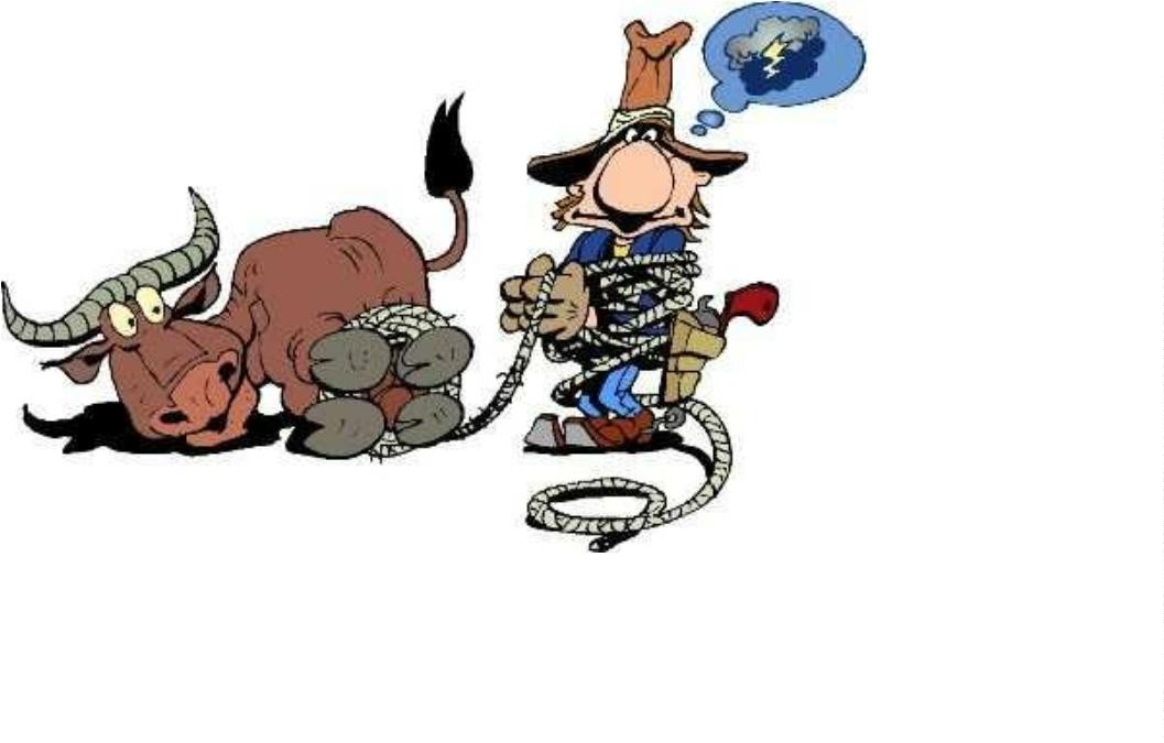 Bulle und Cowboy sind im Lasso verheddert